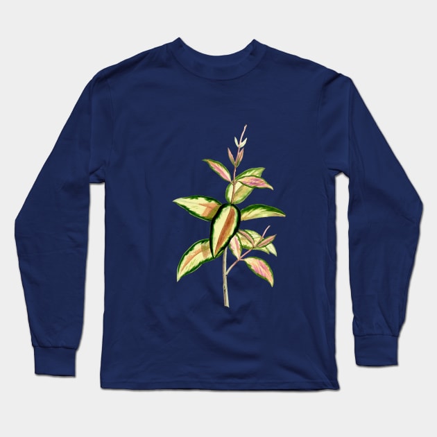 Hoya Carnosa tricolor - Annales de la Société royale d’Agriculture et de Botanique de Gand - Botanical Illustration Long Sleeve T-Shirt by chimakingthings